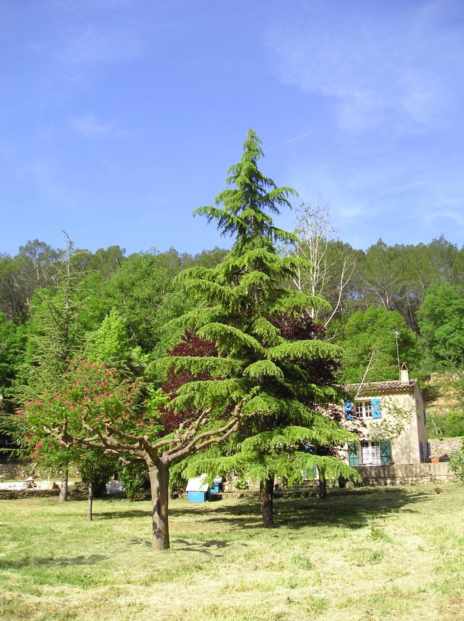 Domaine De La Provenç'âne Villa Salernes Cameră foto