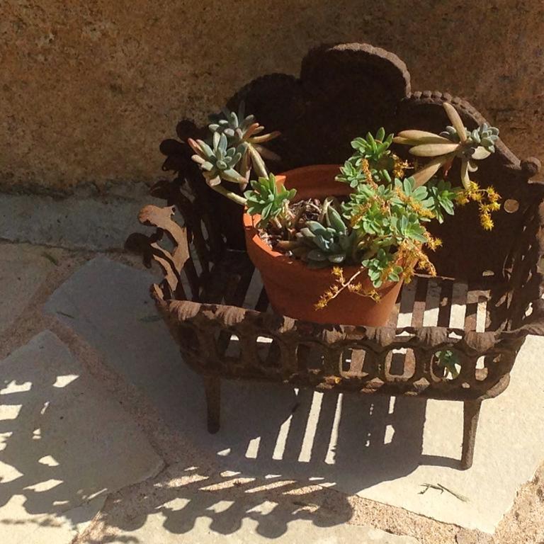 Domaine De La Provenç'âne Villa Salernes Cameră foto